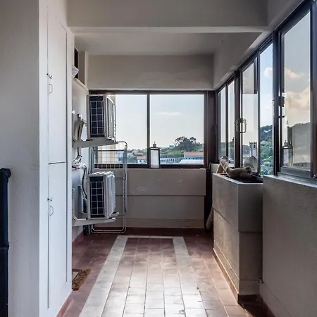 Regatta - Beachfront And Sea Views Apartment Ponta Delgada