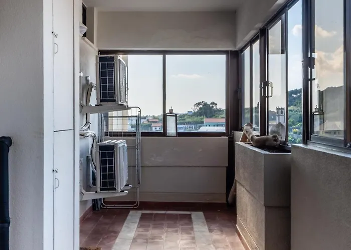 Regatta - Beachfront And Sea Views Lejlighed Ponta Delgada